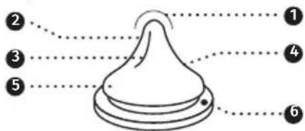 Lansinoh 190502 - Ingestion - 1