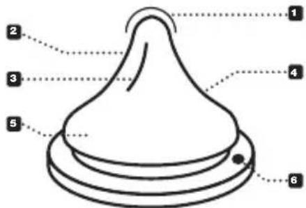 Lansinoh 190500 - Wissenschaftlich erwiesen: Babys wenden ihr an der Brust erlerntes Saugmuster am NaturalWave™ Sauger an. - 1