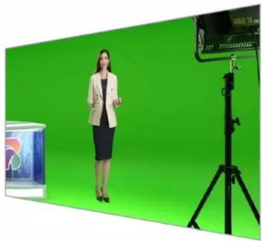 Blackmagic Design Ultimatte 12 - Garbage-Matte - 2