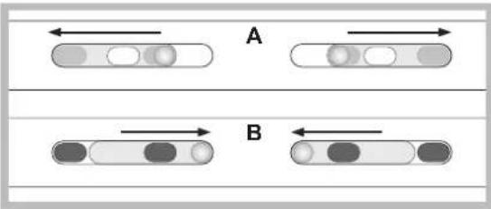 A B
