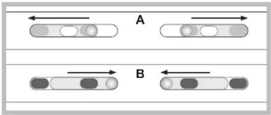 A B