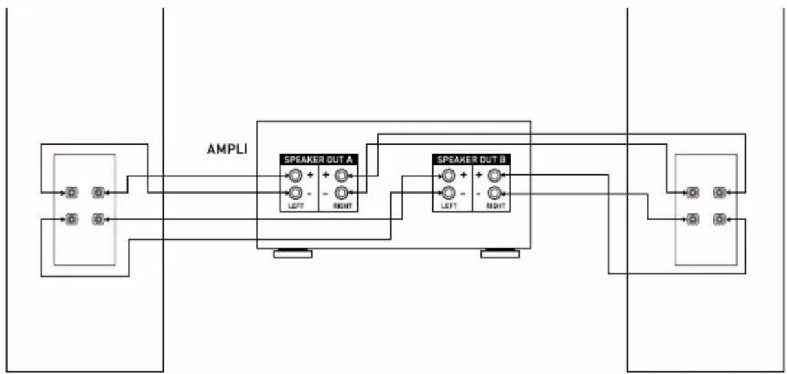 TRIANGLE Celius 902 - B - 2