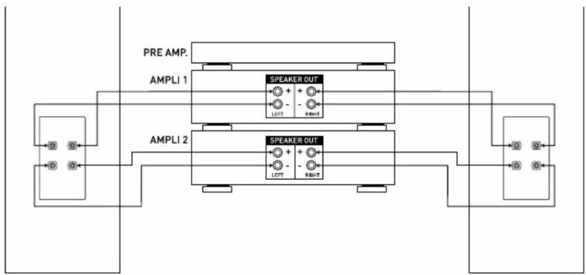 TRIANGLE Celius 902 - B - 1