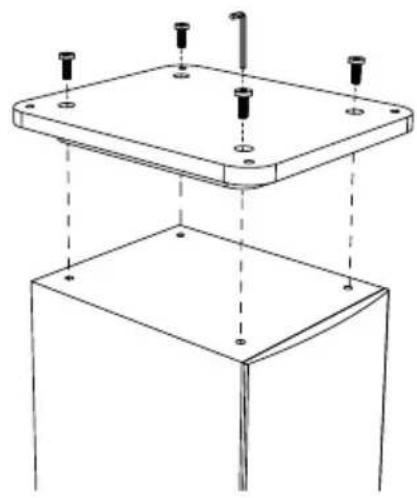 TRIANGLE Celius 902 - Pedestal and spikes assembly - 2
