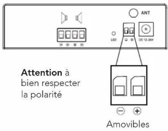 TRIANGLE AIO Pro A50 - Connexion électrique - 3