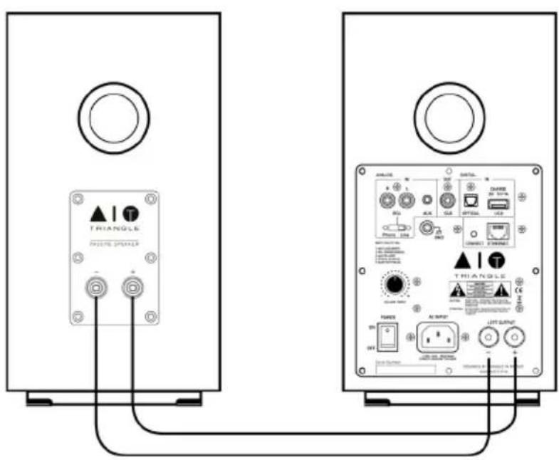 TRIANGLE AIO TWIN - CONNECTING THE SPEAKERS - 1