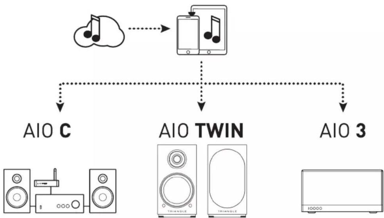 TRIANGLE AIO TWIN - CAUTIONS - 1