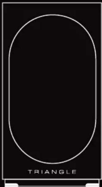 TRIANGLE AIO TWIN - MANUFACTURE ELECTROACOUSTIQUE - 3