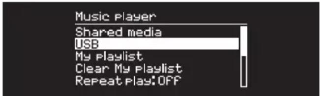 Music Player Shared media USB My Playlist Clear My Playlist Repeat Play: OFF