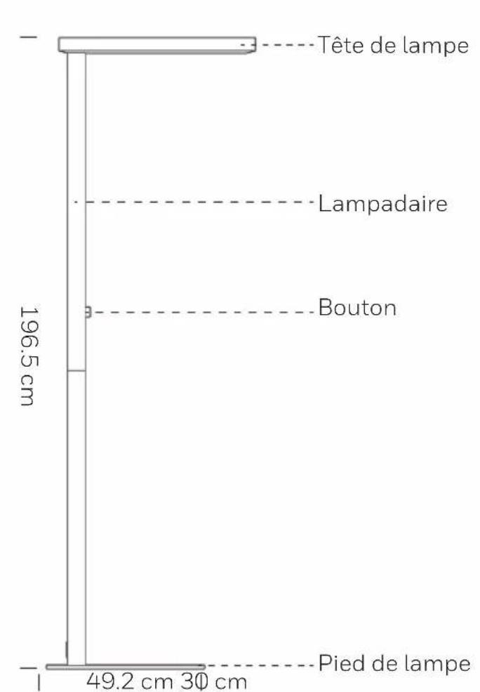Tête de lampe Lampadaire Bouton 196.5 cm 49.2 cm 30 cm Pied de lampe