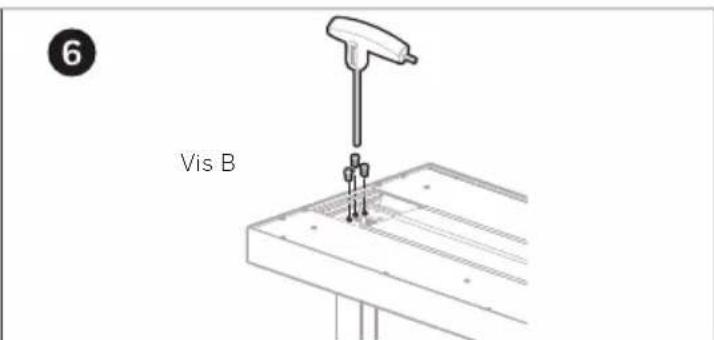 6 Vis B
