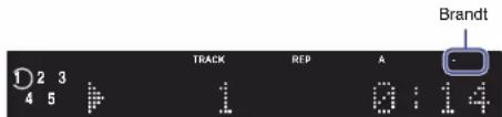 Brandt D 2 3 4 5 TRACK REP A 1 D : 14