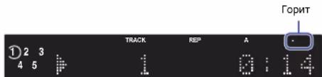 1 2 3 4 5 TRACK REP A 0:14