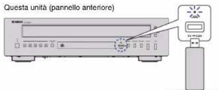 Questa unità (pannello anteriore)