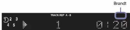 Track REP A - B 1 2 3 4 5 6 Brandt