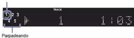 TRACK Parpadeando