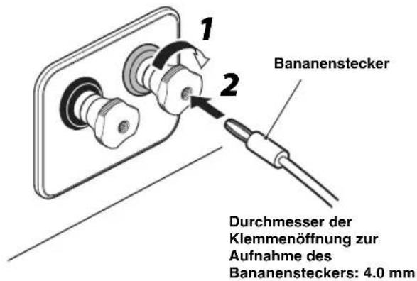 YAMAHA NS-800A - ■ Bananenstecker verwenden - 1