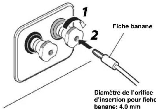 YAMAHA NS-800A - ■ Si vous utilisez une fiche banane - 1