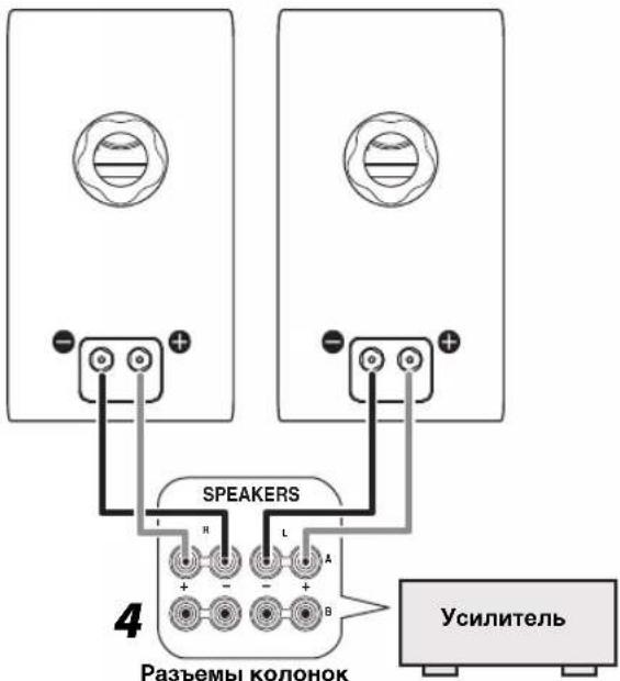 SPEAKERS 4 Разъемы колонок Усилитель