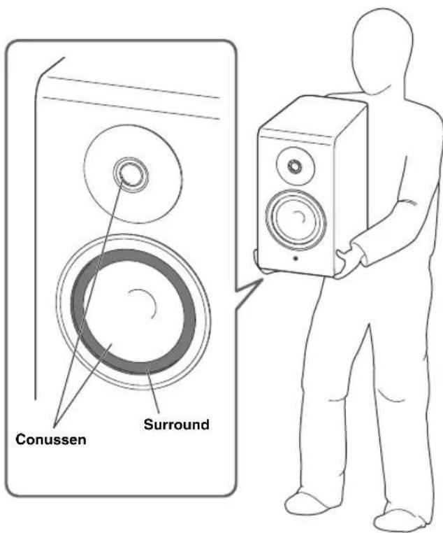 YAMAHA NS-800A - ■ Gebruiken als 2-kanaals stereo luidsprekers - 2