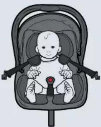 Axkid Modukid Infant 2 - 6