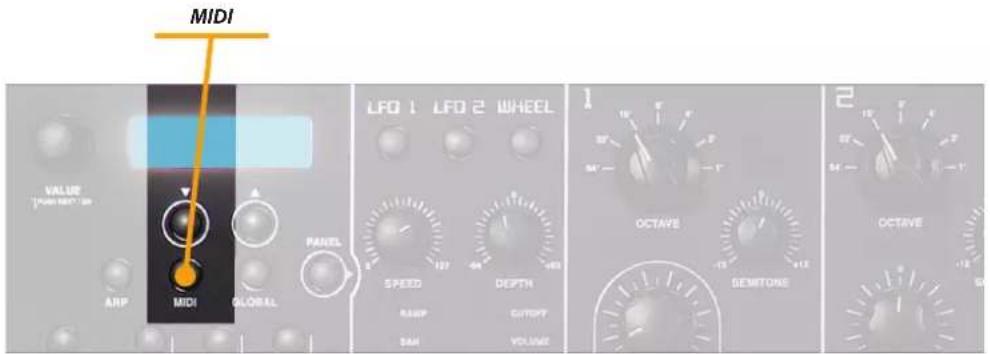 Studiologic Sledge 2.0 - ARP - 1