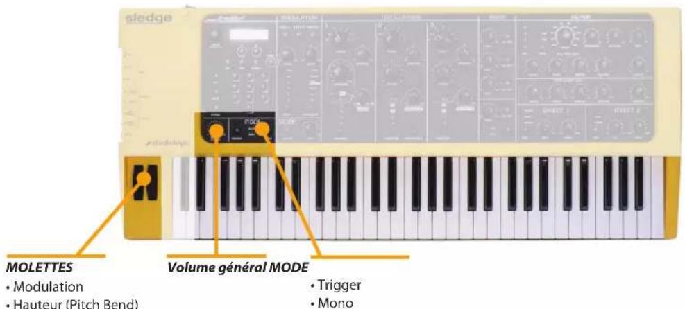 Studiologic Sledge 2.0 - Pédales - 1