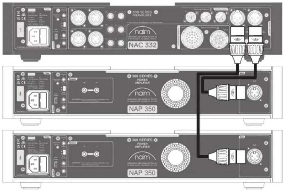 NAIM NAP 350 - NAP 350 Set Up - 3