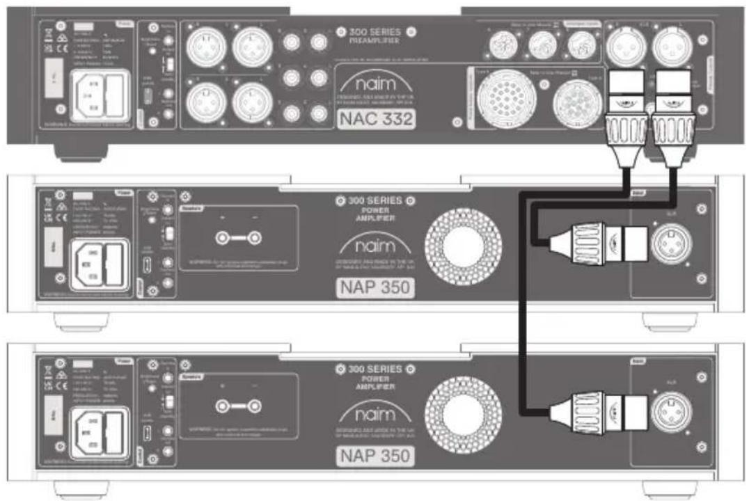 NAIM NAP 350 - Einrichten des NAP 350 - 3