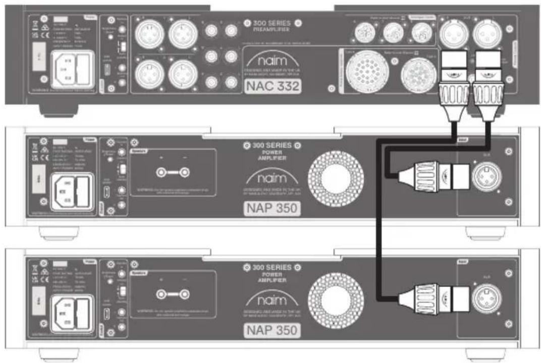 NAIM NAP 350 - Configurazione del NAP 350 - 3