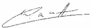 WAGNER ProjectPro 213 Extra - CE Conformiteitsverklaring - 2