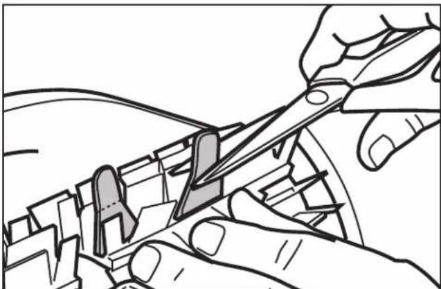 POLARIS P724 - Replacing Brushes - 4