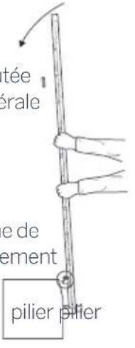 THOMSON 510062 - Au niveau des bords secondaires - 4