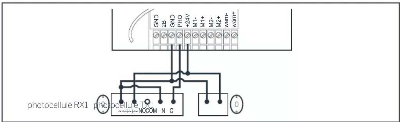 THOMSON 510062 - - Les photocellules - 1