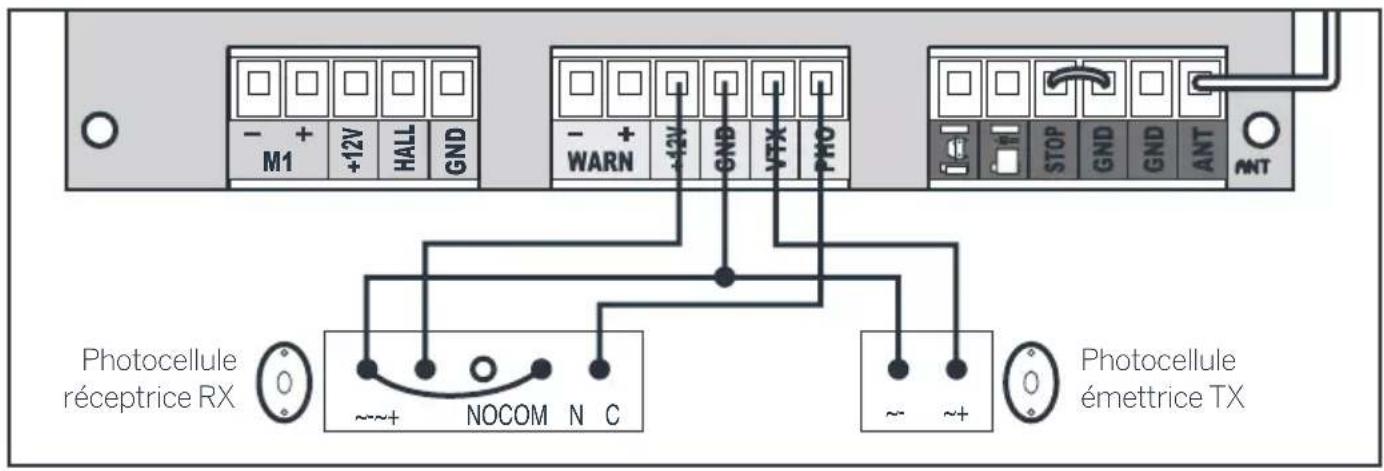 THOMSON 510064 - Les photocellules - 1