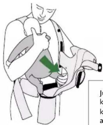 BabyBjörn Baby Carrier Move - NAOGASISSEPOOLEASEND - 2