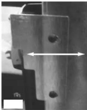 EDILKAMIN FUNNY - Phase B - 5