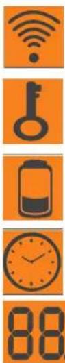 EDILKAMIN LOGO - OPMERKING betreffende de brandstof. - 1