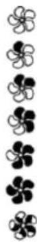 EDILKAMIN YANA PLUS - \section*{Caracteristiques :} - 13