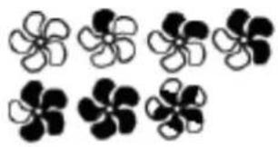 EDILKAMIN YANA PLUS - \section*{Caracteristiques :} - 12