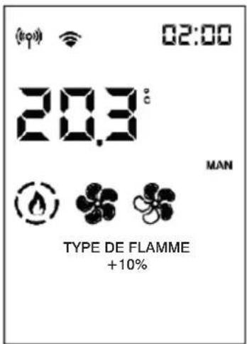 EDILKAMIN YANA PLUS - - TYPE DE FLAMME POUR LE TECHNICIEN - 3