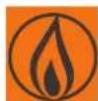 EDILKAMIN SALLY PLUS - OPMERKING betreffende de brandstof. - 7