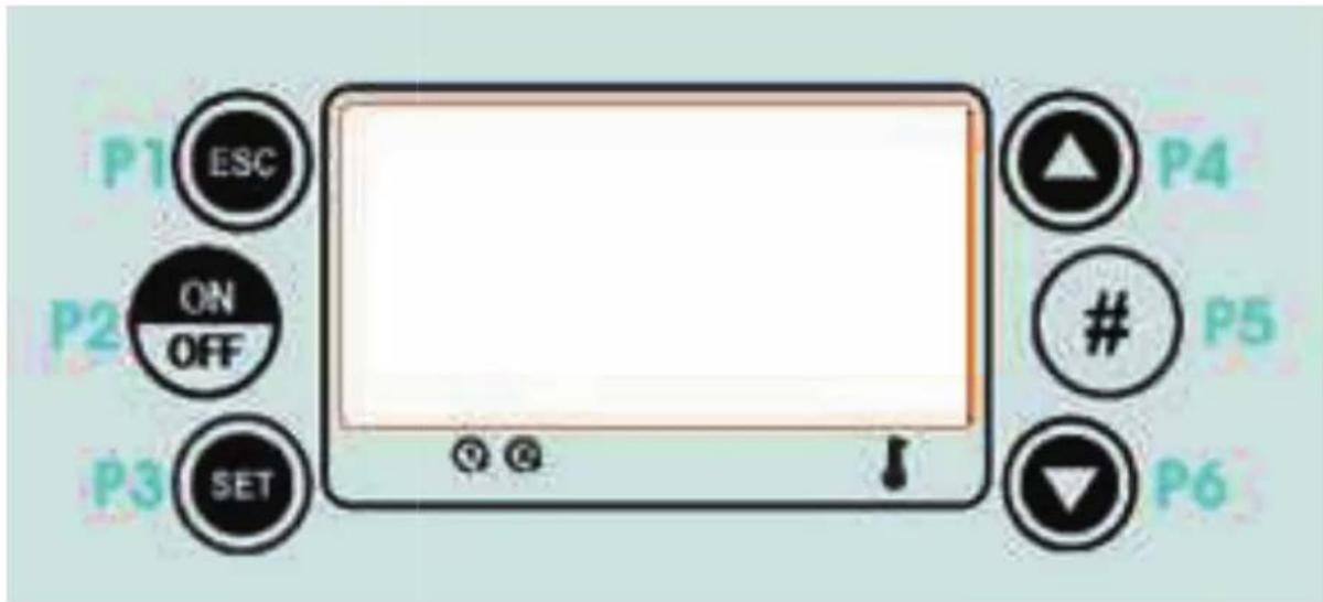 EDILKAMIN LAGUNA W UP - L'unica interfaccia è il display a bordo caldaia - 1