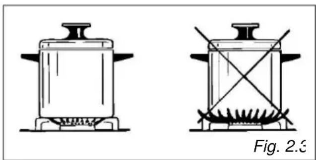 HAIER HAHG9WL38WX/1 - (\*\*) apenas para os modelos com anel duplo ou queimador duplo e com adaptador wok pan fornecido - 1