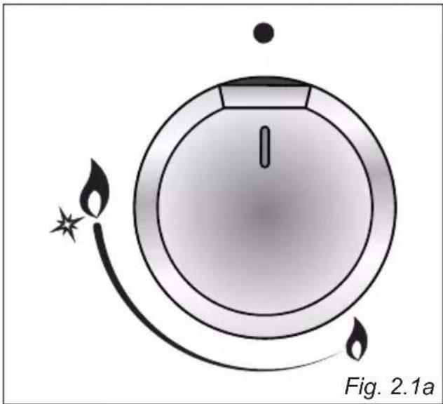 HAIER HAHG9WL38WX/1 - GAS BURNERS - 3