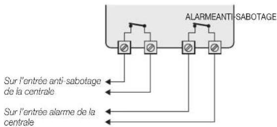 Vimar 03800 - Équilibrage NF /NO - 1