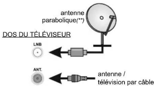 DOS DU TÉLÉVISEUR LNB ANT. antenne parabolique(**) antenne / télévision par câble