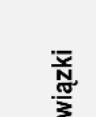 Elettrobar Ocean 81 - Roz 8 UTYLIZACJA - 9