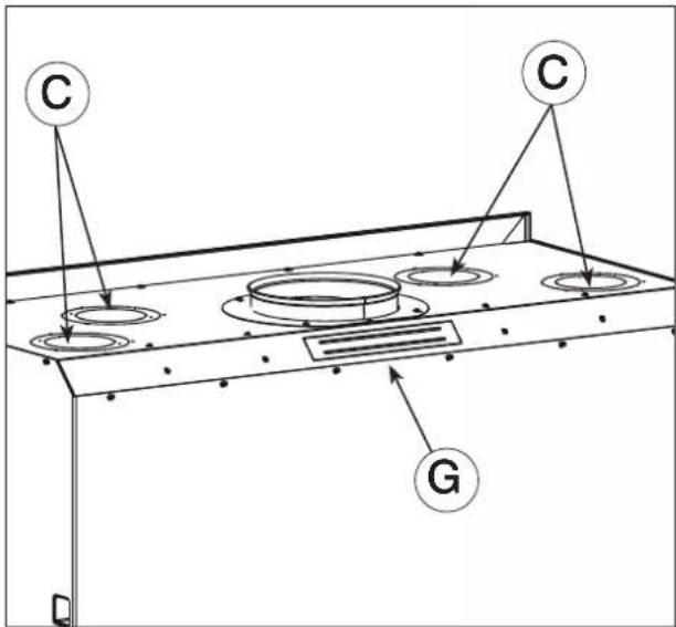 EDILKAMIN SCREEN EVO 100 - CIRCOLAZIONE A CONVEZIONE NATURALE - 2