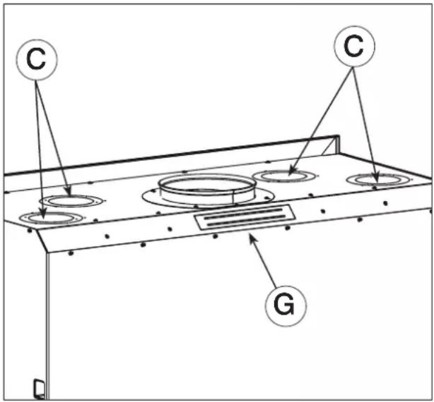 EDILKAMIN SCREEN EVO 80/2 - CIRCOLAZIONE A CONVEZIONE NATURALE - 2